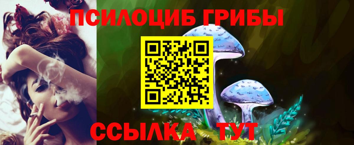Галлюциногенные грибы Cubensis Кострома